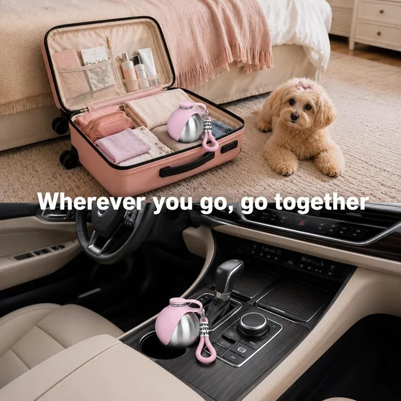 Gourde de voyage pour chien